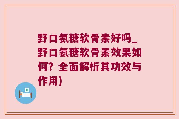 野口氨糖软骨素好吗_野口氨糖软骨素效果如何？全面解析其功效与作用)