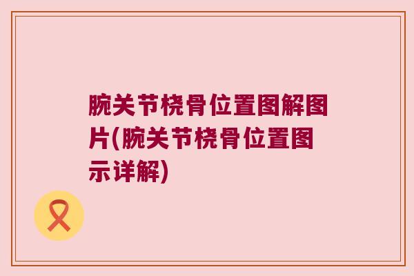 腕关节桡骨位置图解图片(腕关节桡骨位置图示详解) 腕关节桡骨位置图解图片(腕关节桡骨位置图示详解)