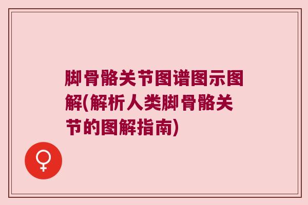 脚骨骼关节图谱图示图解(解析人类脚骨骼关节的图解指南)