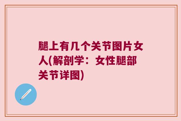 腿上有几个关节图片女人(解剖学：女性腿部关节详图)
