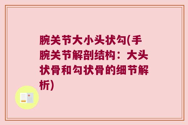 腕关节大小头状勾(手腕关节解剖结构:大头状骨和勾状骨的细节解析) 腕关节大小头状勾(手腕关节解剖结构:大头状骨和勾状骨的细节解析)