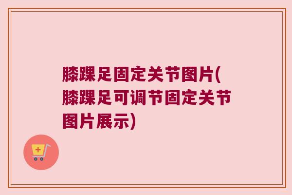 膝踝足固定关节图片(膝踝足可调节固定关节图片展示)