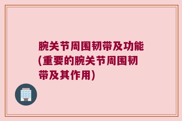 腕关节周围韧带及功能(重要的腕关节周围韧带及其作用) 腕关节周围韧带及功能(重要的腕关节周围韧带及其作用)