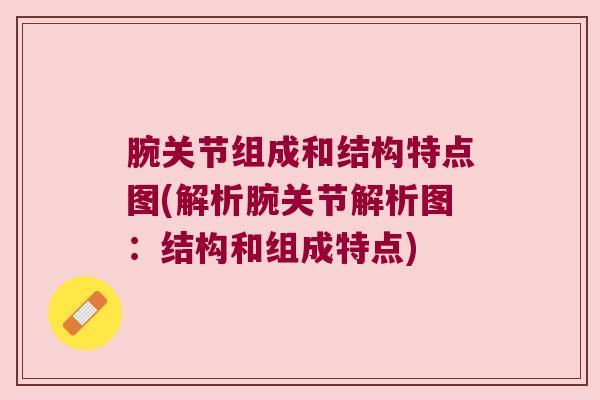 腕关节组成和结构特点图(解析腕关节解析图：结构和组成特点)