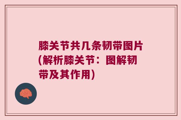 膝关节共几条韧带图片(解析膝关节:图解韧带及其作用) 膝关节共几条韧带图片(解析膝关节:图解韧带及其作用)
