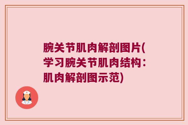 腕关节肌肉解剖图片(学习腕关节肌肉结构:肌肉解剖图示范) 腕关节肌肉解剖图片(学习腕关节肌肉结构:肌肉解剖图示范)