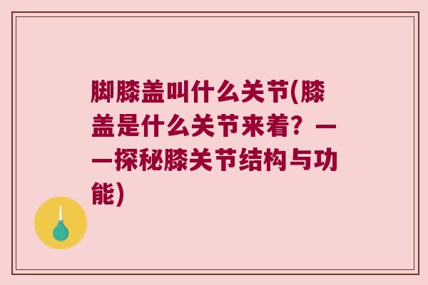 脚膝盖叫什么关节(膝盖是什么关节来着？——探秘膝关节结构与功能)