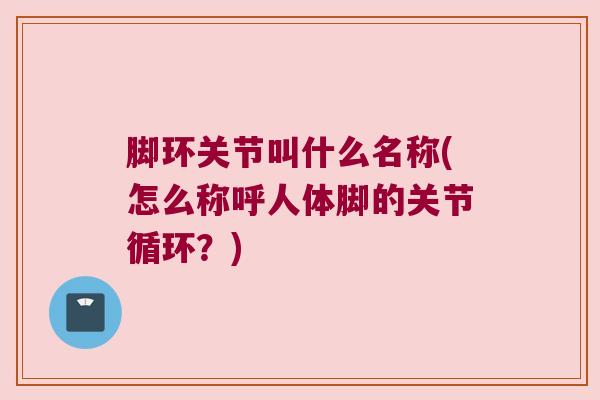 脚环关节叫什么名称(怎么称呼人体脚的关节循环?) 脚环关节叫什么名称(怎么称呼人体脚的关节循环?)