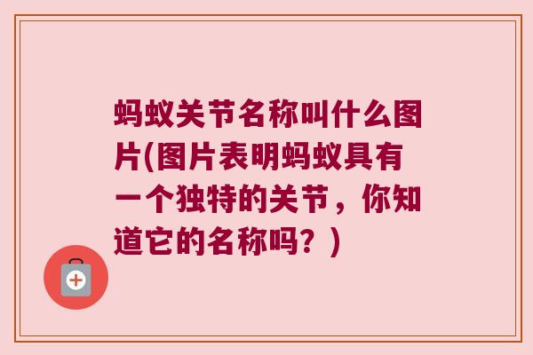 蚂蚁关节名称叫什么图片(图片表明蚂蚁具有一个独特的关节，你知道它的名称吗？)