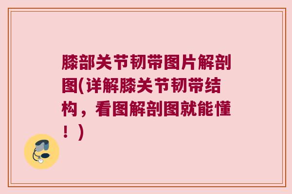 膝部关节韧带图片解剖图(详解膝关节韧带结构，看图解剖图就能懂！)