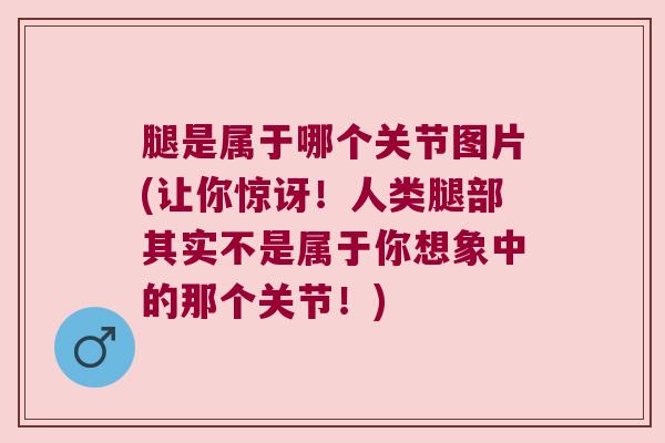 腿是属于哪个关节图片(让你惊讶!人类腿部其实不是属于你想象中的那个关节!) 腿是属于哪个关节图片(让你惊讶!人类腿部其实不是属于你想象中的那个关节!)