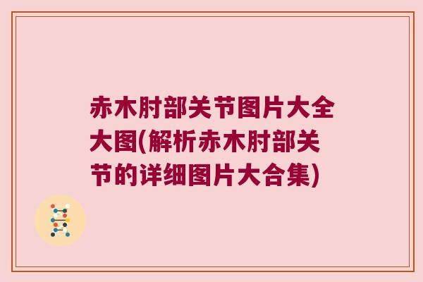 赤木肘部关节图片大全大图(解析赤木肘部关节的详细图片大合集)