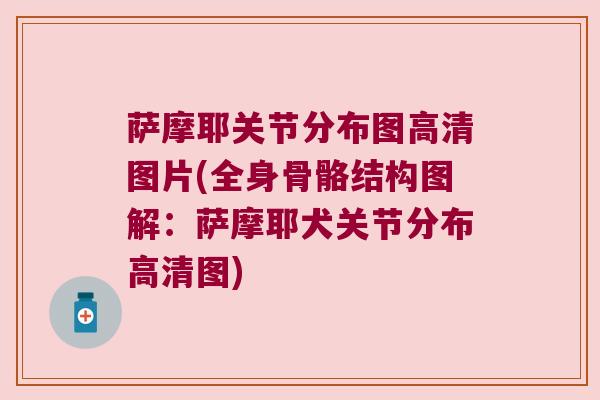萨摩耶关节分布图高清图片(全身骨骼结构图解:萨摩耶犬关节分布高清图) 萨摩耶关节分布图高清图片(全身骨骼结构图解:萨摩耶犬关节分布高清图)