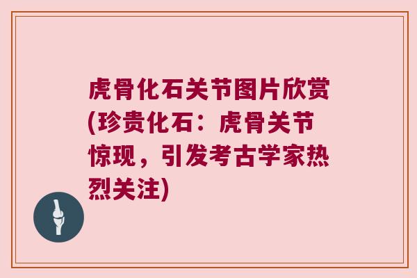 虎骨化石关节图片欣赏(珍贵化石：虎骨关节惊现，引发考古学家热烈关注)