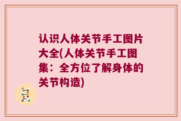 认识人体关节手工图片大全(人体关节手工图集:全方位了解身体的关节构造) 认识人体关节手工图片大全(人体关节手工图集:全方位了解身体的关节构造)