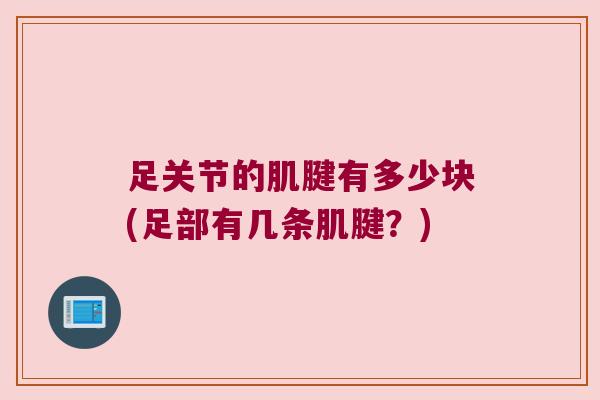 足关节的肌腱有多少块(足部有几条肌腱？)