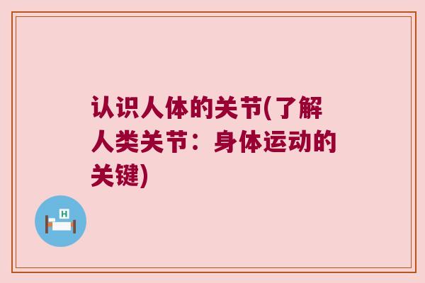 认识人体的关节(了解人类关节：身体运动的关键)