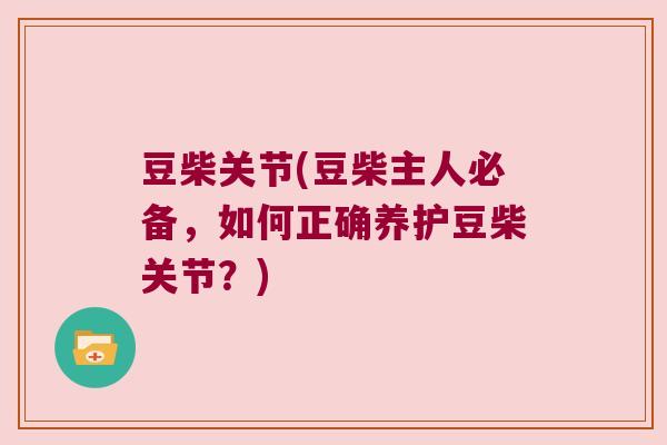 豆柴关节(豆柴主人必备，如何正确养护豆柴关节？)
