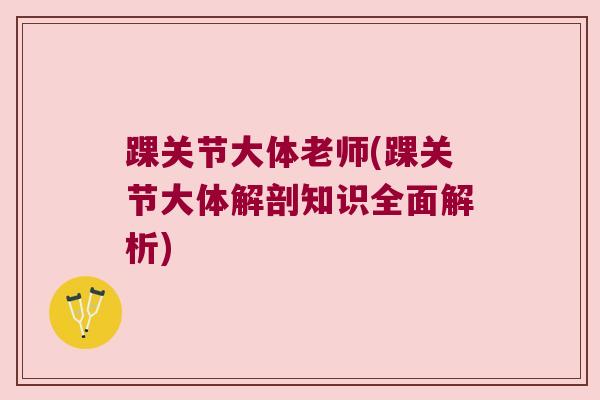 踝关节大体老师(踝关节大体解剖知识全面解析)