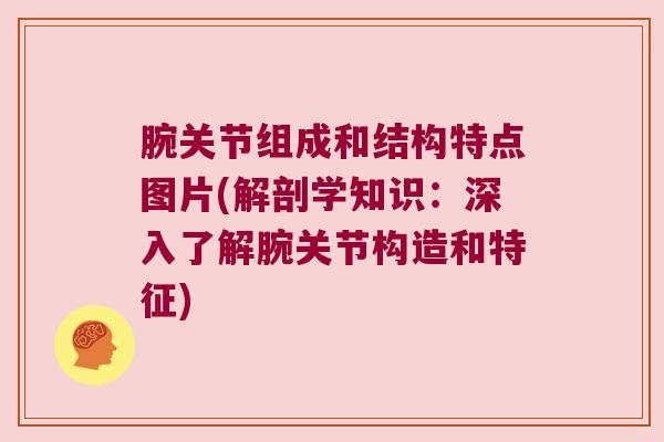 腕关节组成和结构特点图片(解剖学知识:深入了解腕关节构造和特征) 腕关节组成和结构特点图片(解剖学知识:深入了解腕关节构造和特征)