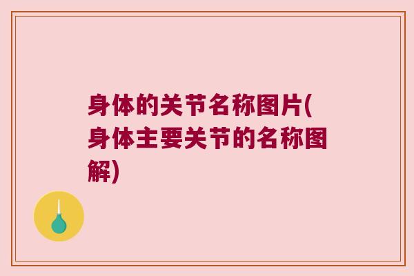 身体的关节名称图片(身体主要关节的名称图解)