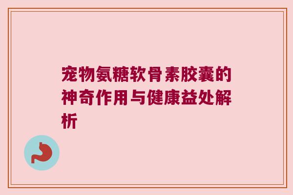 宠物氨糖软骨素胶囊的神奇作用与健康益处解析 宠物氨糖软骨素胶囊的神奇作用与健康益处解析