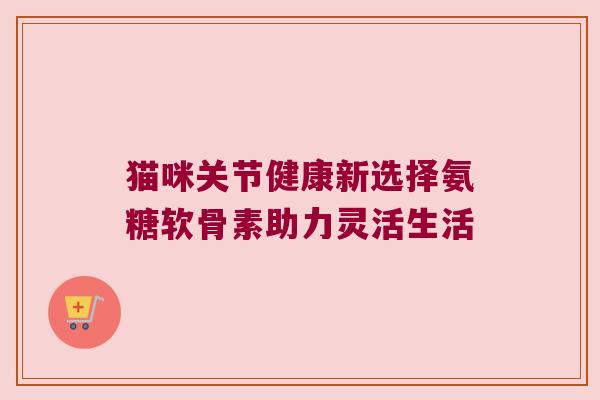猫咪关节健康新选择氨糖软骨素助力灵活生活
