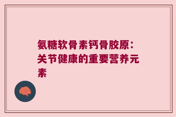 氨糖软骨素钙骨胶原：关节健康的重要营养元素
