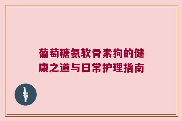 葡萄糖氨软骨素狗的健康之道与日常护理指南
