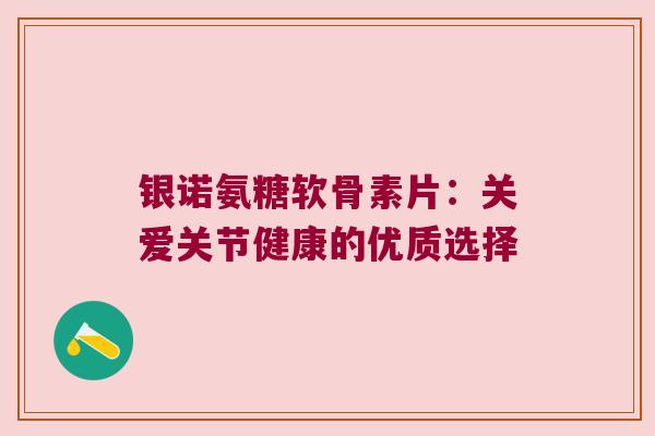 银诺氨糖软骨素片：关爱关节健康的优质选择