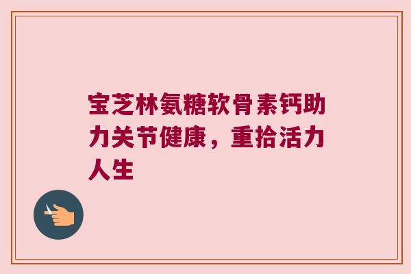 宝芝林氨糖软骨素钙助力关节健康，重拾活力人生