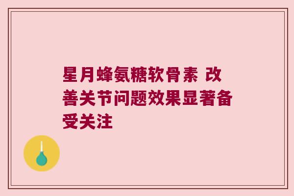 星月蜂氨糖软骨素 改善关节问题效果显著备受关注