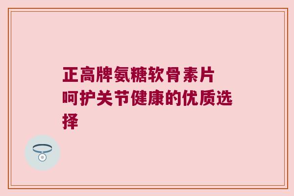 正高牌氨糖软骨素片 呵护关节健康的优质选择