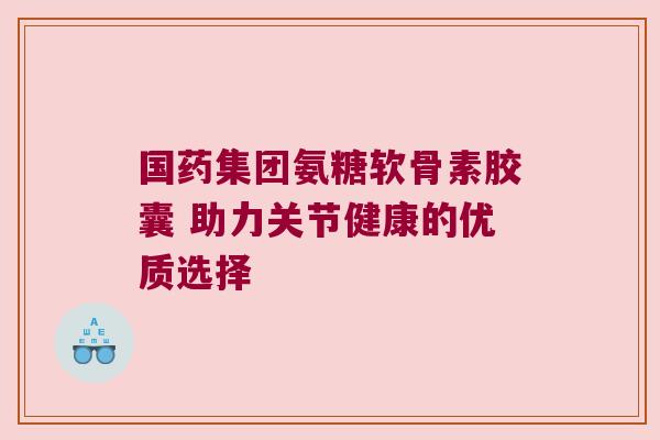 国药集团氨糖软骨素胶囊 助力关节健康的优质选择
