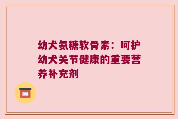 幼犬氨糖软骨素：呵护幼犬关节健康的重要营养补充剂