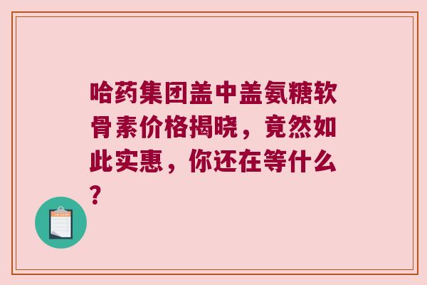 哈药集团盖中盖氨糖软骨素价格揭晓,竟然如此实惠,你还在等什么? 哈药集团盖中盖氨糖软骨素价格揭晓,竟然如此实惠,你还在等什么?