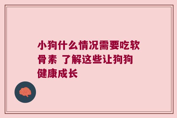 小狗什么情况需要吃软骨素 了解这些让狗狗健康成长