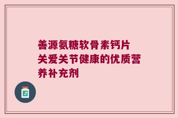 善源氨糖软骨素钙片 关爱关节健康的优质营养补充剂 善源氨糖软骨素钙片 关爱关节健康的优质营养补充剂