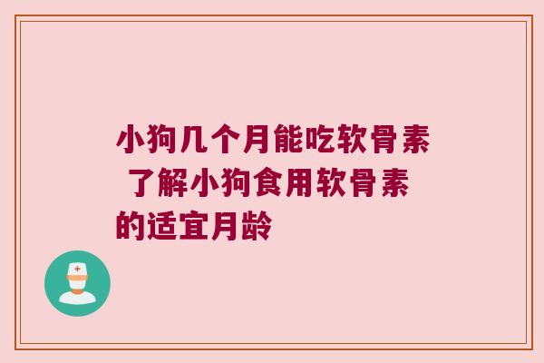 小狗几个月能吃软骨素 了解小狗食用软骨素的适宜月龄