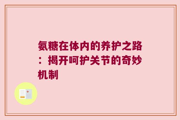 氨糖在体内的养护之路：揭开呵护关节的奇妙机制
