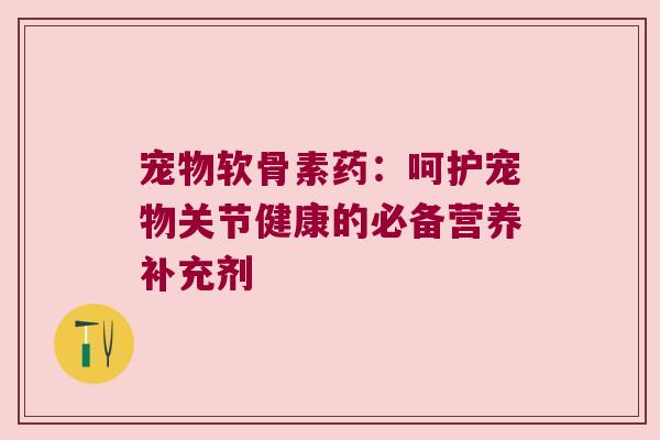 宠物软骨素药:呵护宠物关节健康的必备营养补充剂 宠物软骨素药:呵护宠物关节健康的必备营养补充剂