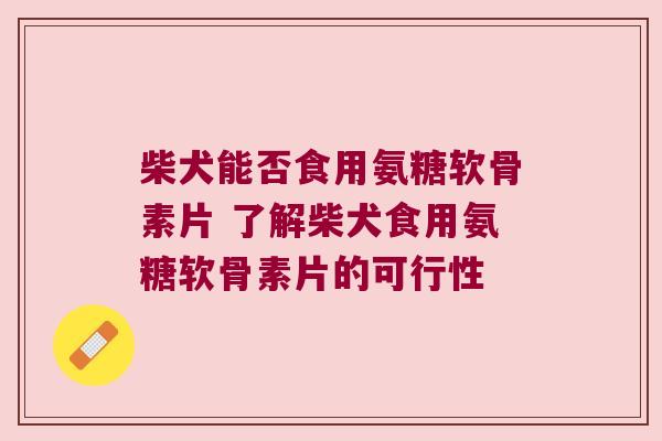柴犬能否食用氨糖软骨素片 了解柴犬食用氨糖软骨素片的可行性 柴犬能否食用氨糖软骨素片 了解柴犬食用氨糖软骨素片的可行性