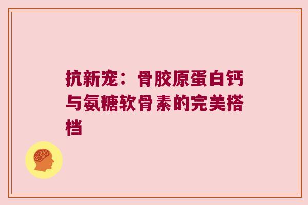 抗新宠：骨胶原蛋白钙与氨糖软骨素的完美搭档