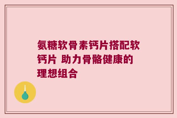 氨糖软骨素钙片搭配软钙片 助力骨骼健康的理想组合