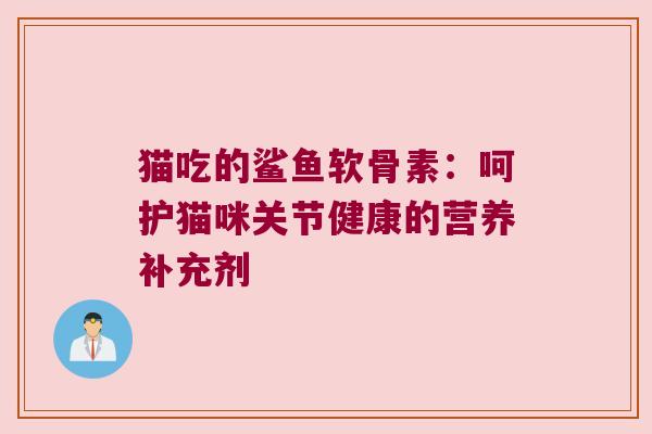 猫吃的鲨鱼软骨素:呵护猫咪关节健康的营养补充剂 猫吃的鲨鱼软骨素:呵护猫咪关节健康的营养补充剂