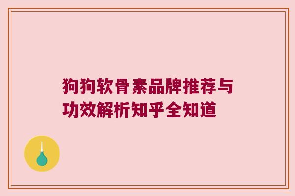 狗狗软骨素品牌推荐与功效解析知乎全知道