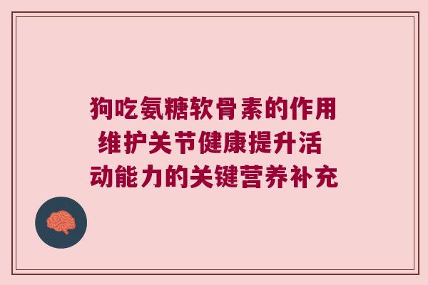 狗吃氨糖软骨素的作用 维护关节健康提升活动能力的关键营养补充