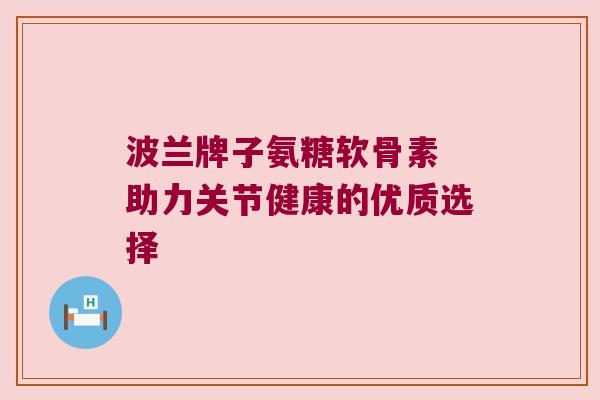 波兰牌子氨糖软骨素 助力关节健康的优质选择