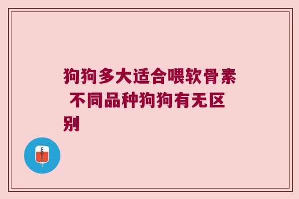 狗狗多大适合喂软骨素 不同品种狗狗有无区别 狗狗多大适合喂软骨素 不同品种狗狗有无区别
