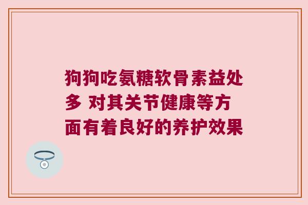 狗狗吃氨糖软骨素益处多 对其关节健康等方面有着良好的养护效果